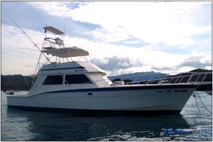 Party boat on the pacific ocean