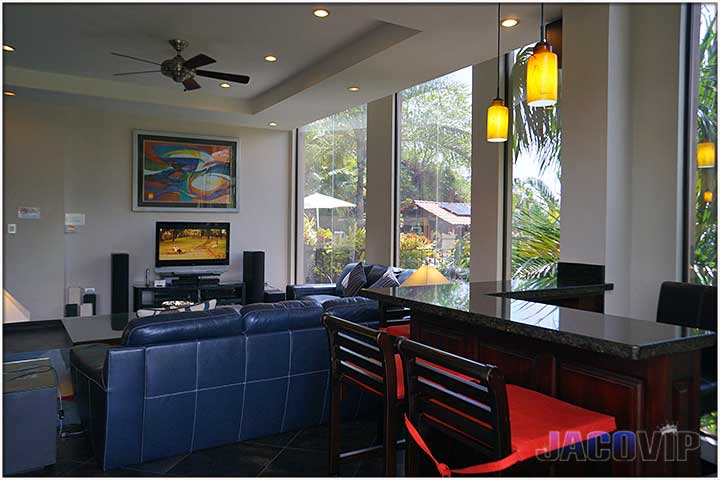 Bar in living room ideal for bartender service