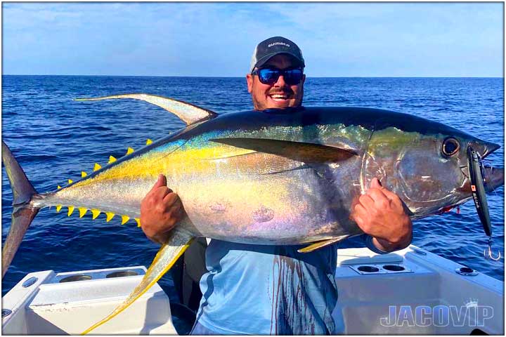 Large mahi mahi dorado off shore fishing near Jaco Beach Costa Rica