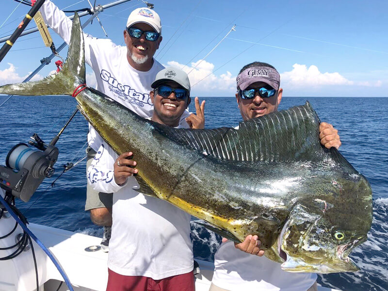Catching Dorado fishing charter in Costa Rica
