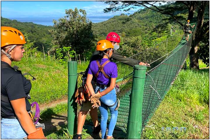 Concierges getting ready to cross hanging bridge to large tree in costa rica