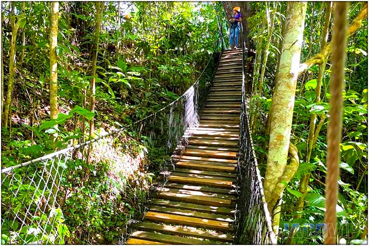 opposite view of hanging bridge