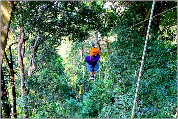 Soaring through jungle on zip line