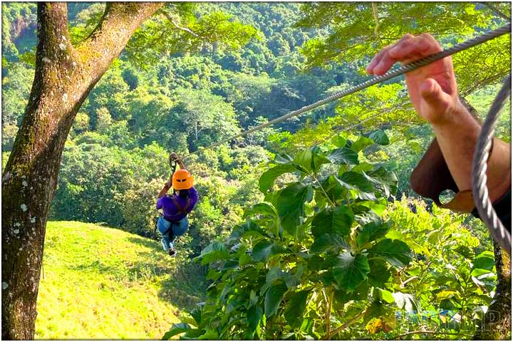 Long cable at zip line tour