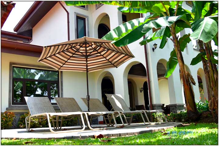 Beach chairs with umbrella for shade