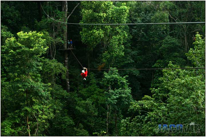 Distant view of platform in the jungle